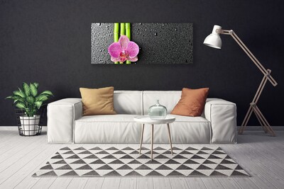 Canvas bild Bambu Blomma Växt Natur