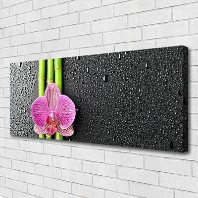 Canvas bild Bambu Blomma Växt Natur