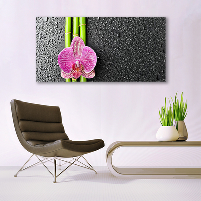 Canvas bild Bambu Blomma Växt Natur