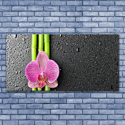 Canvas bild Bambu Blomma Växt Natur