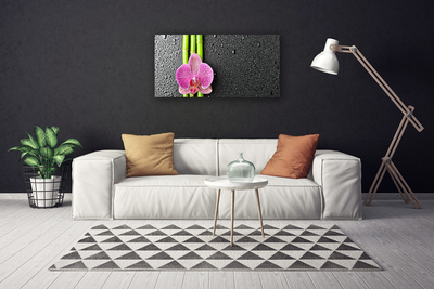 Canvas bild Bambu Blomma Växt Natur