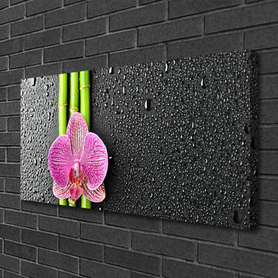 Canvas bild Bambu Blomma Växt Natur