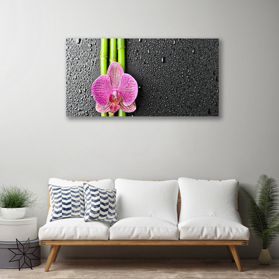 Canvas bild Bambu Blomma Växt Natur