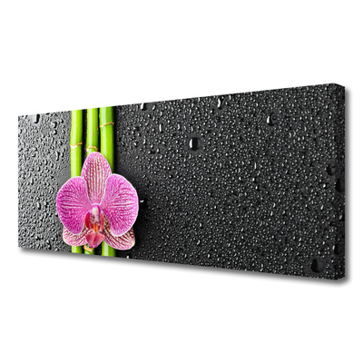 Canvas bild Bambu Blomma Växt Natur