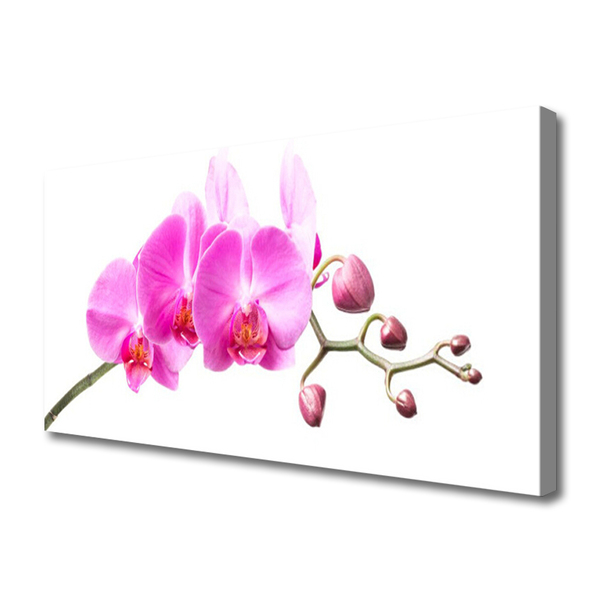 Canvas bild Blommor Växtnatur