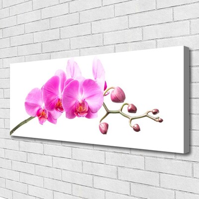 Canvas bild Blommor Växtnatur