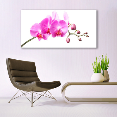 Canvas bild Blommor Växtnatur