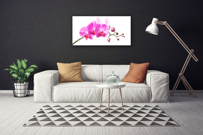 Canvas bild Blommor Växtnatur