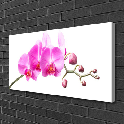 Canvas bild Blommor Växtnatur