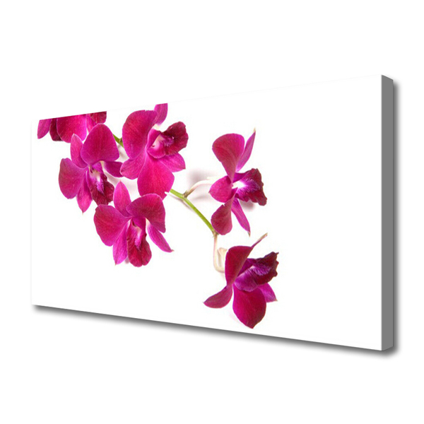 Fototryck canvas Blommor Växtnatur