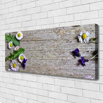 Fototryck canvas Daisy Plant Nature