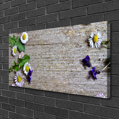 Fototryck canvas Daisy Plant Nature