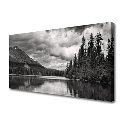 Bild canvas Mountain Forest Lake Nature