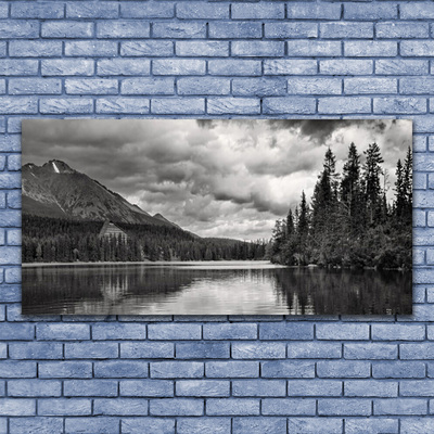 Bild canvas Mountain Forest Lake Nature