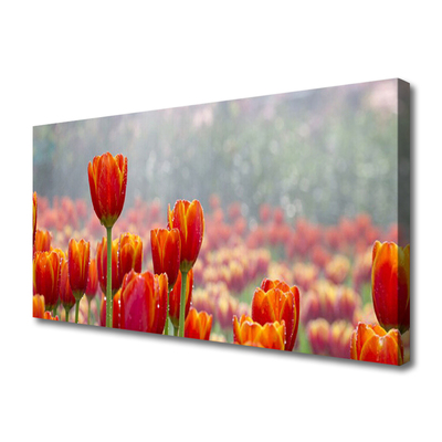 Fototryck canvas Tulpaner Blommor Plant