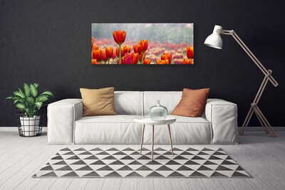 Fototryck canvas Tulpaner Blommor Plant