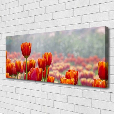 Fototryck canvas Tulpaner Blommor Plant