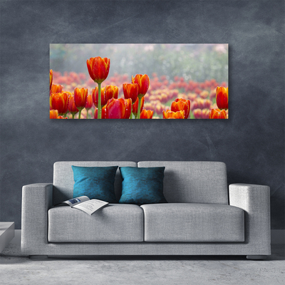 Fototryck canvas Tulpaner Blommor Plant