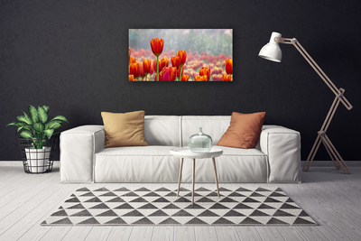 Fototryck canvas Tulpaner Blommor Plant