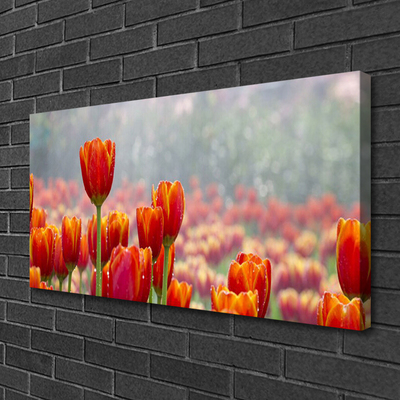 Fototryck canvas Tulpaner Blommor Plant