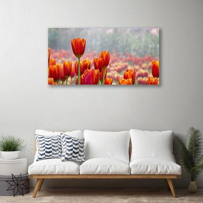 Fototryck canvas Tulpaner Blommor Plant