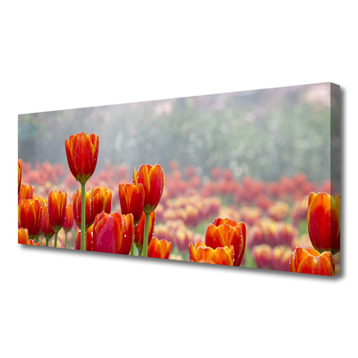 Fototryck canvas Tulpaner Blommor Plant