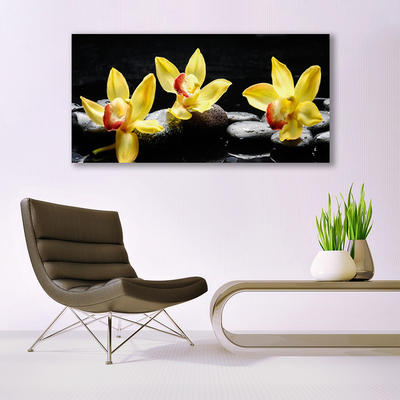 Canvas bild Blomma orkidéväxt