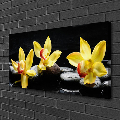 Canvas bild Blomma orkidéväxt