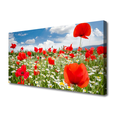 Canvas bild Ängsblommor Natur