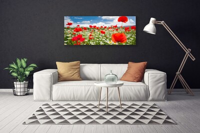 Canvas bild Ängsblommor Natur