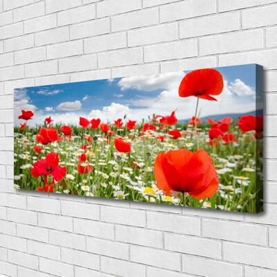 Canvas bild Ängsblommor Natur