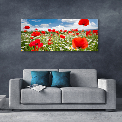 Canvas bild Ängsblommor Natur