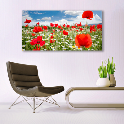 Canvas bild Ängsblommor Natur