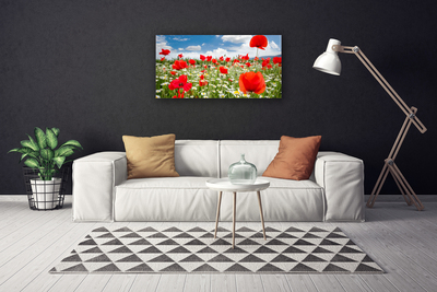 Canvas bild Ängsblommor Natur