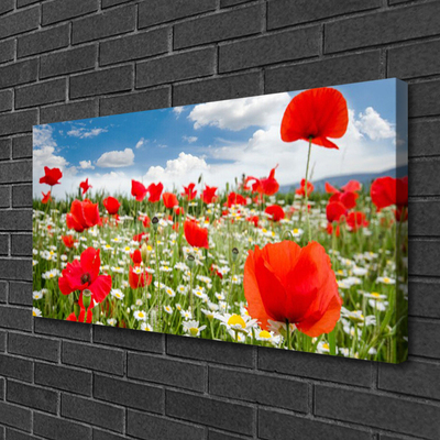 Canvas bild Ängsblommor Natur