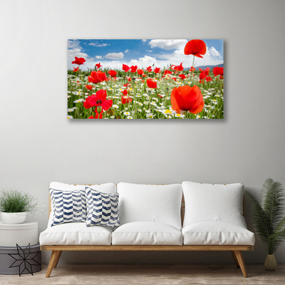 Canvas bild Ängsblommor Natur