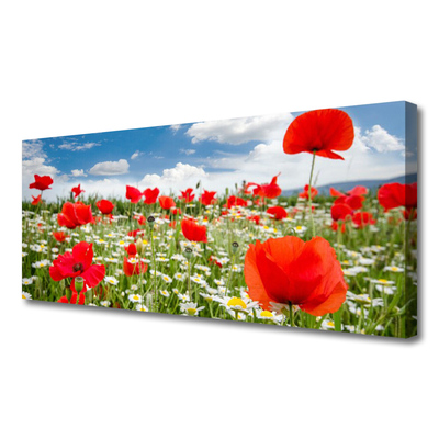 Canvas bild Ängsblommor Natur