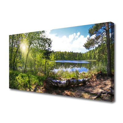 Bild på canvas Skogsträd Sjön Natur