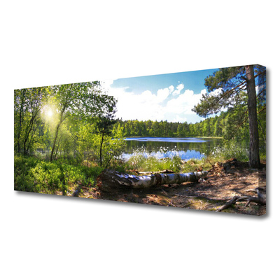 Bild på canvas Skogsträd Sjön Natur