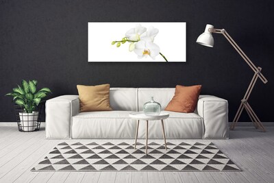 Bild canvas Orkidé Blommor Natur