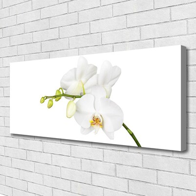 Bild canvas Orkidé Blommor Natur