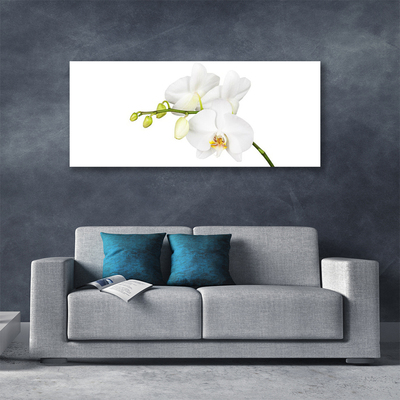 Bild canvas Orkidé Blommor Natur