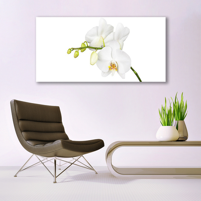 Bild canvas Orkidé Blommor Natur