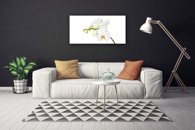 Bild canvas Orkidé Blommor Natur