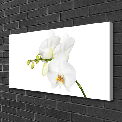 Bild canvas Orkidé Blommor Natur