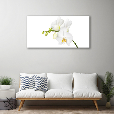 Bild canvas Orkidé Blommor Natur