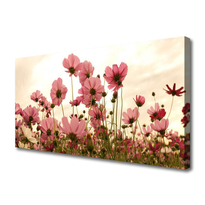 Bild canvas Wildflowers Meadow Nature