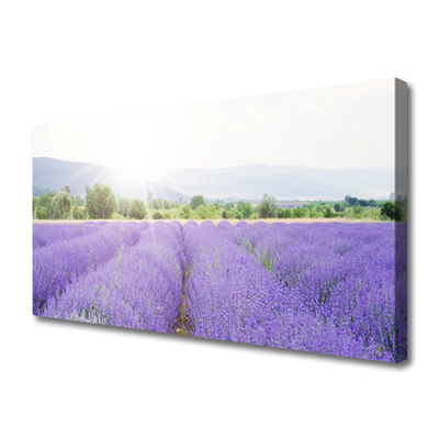 Fototryck canvas Lavendelfält Naturäng