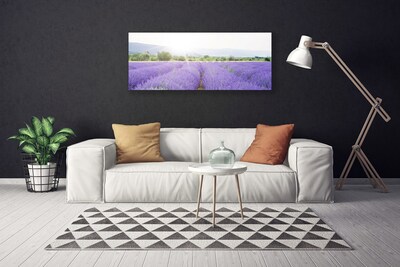 Fototryck canvas Lavendelfält Naturäng