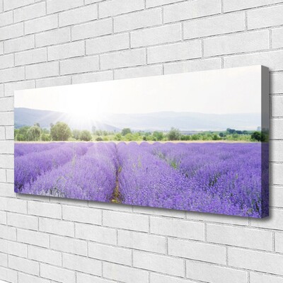 Fototryck canvas Lavendelfält Naturäng